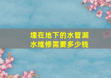 埋在地下的水管漏水维修需要多少钱