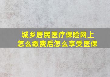 城乡居民医疗保险网上怎么缴费后怎么享受医保