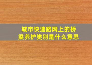 城市快速路网上的桥梁养护类别是什么意思