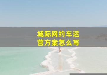 城际网约车运营方案怎么写