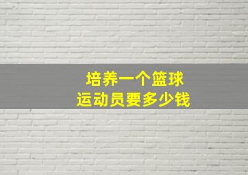 培养一个篮球运动员要多少钱