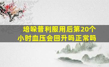 培哚普利服用后第20个小时血压会回升吗正常吗