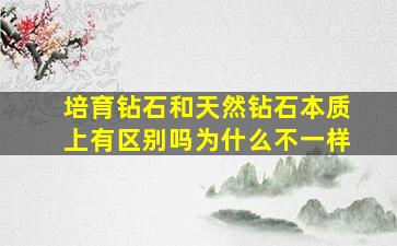 培育钻石和天然钻石本质上有区别吗为什么不一样