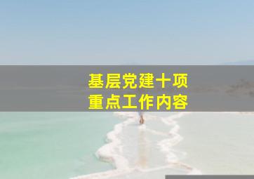 基层党建十项重点工作内容