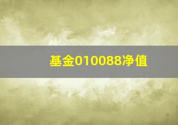 基金010088净值