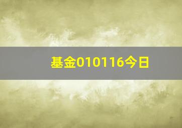 基金010116今日