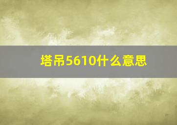 塔吊5610什么意思