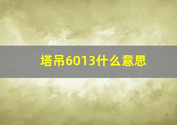 塔吊6013什么意思