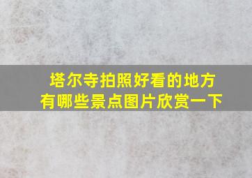 塔尔寺拍照好看的地方有哪些景点图片欣赏一下