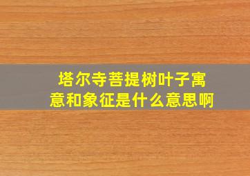 塔尔寺菩提树叶子寓意和象征是什么意思啊