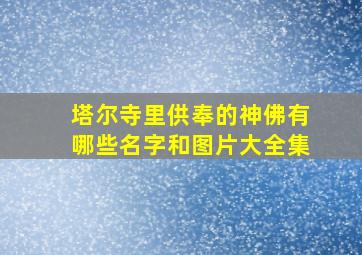 塔尔寺里供奉的神佛有哪些名字和图片大全集