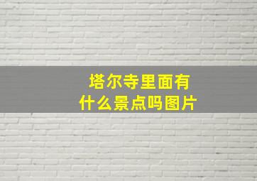 塔尔寺里面有什么景点吗图片