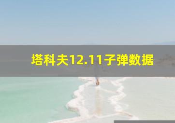 塔科夫12.11子弹数据