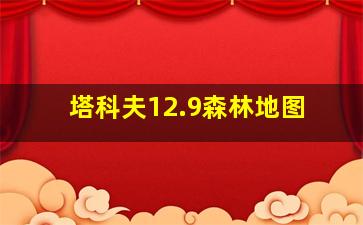 塔科夫12.9森林地图