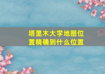 塔里木大学地图位置精确到什么位置