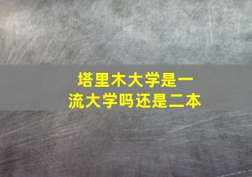 塔里木大学是一流大学吗还是二本