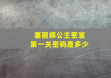 塞丽娜公主密室第一关密码是多少