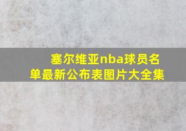 塞尔维亚nba球员名单最新公布表图片大全集