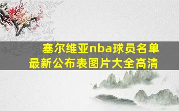 塞尔维亚nba球员名单最新公布表图片大全高清