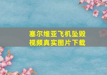 塞尔维亚飞机坠毁视频真实图片下载