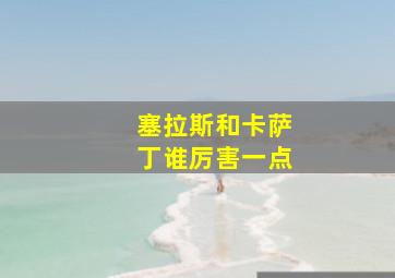 塞拉斯和卡萨丁谁厉害一点