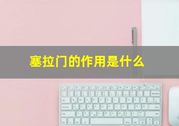 塞拉门的作用是什么