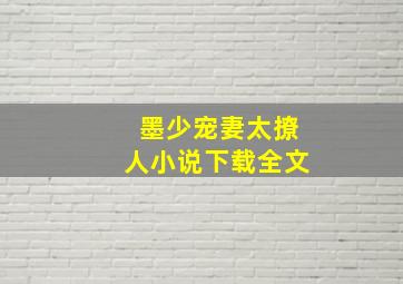 墨少宠妻太撩人小说下载全文