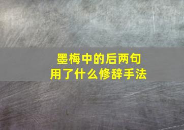 墨梅中的后两句用了什么修辞手法