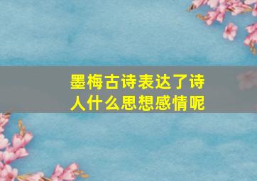 墨梅古诗表达了诗人什么思想感情呢