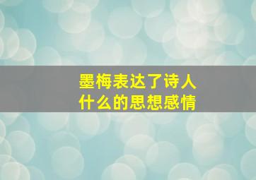 墨梅表达了诗人什么的思想感情