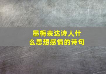 墨梅表达诗人什么思想感情的诗句