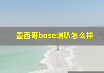 墨西哥bose喇叭怎么样