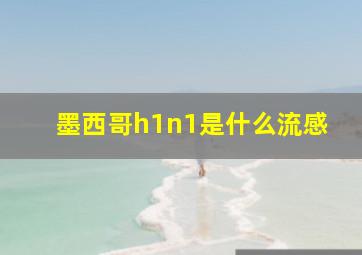 墨西哥h1n1是什么流感