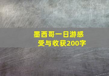 墨西哥一日游感受与收获200字