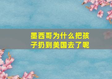 墨西哥为什么把孩子扔到美国去了呢