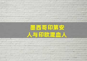 墨西哥印第安人与印欧混血人