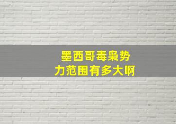 墨西哥毒枭势力范围有多大啊