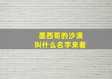 墨西哥的沙漠叫什么名字来着