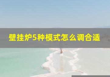 壁挂炉5种模式怎么调合适