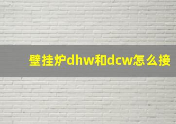 壁挂炉dhw和dcw怎么接