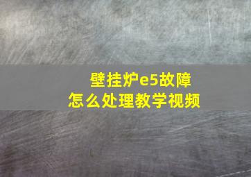 壁挂炉e5故障怎么处理教学视频