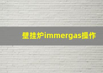 壁挂炉immergas操作