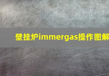 壁挂炉immergas操作图解