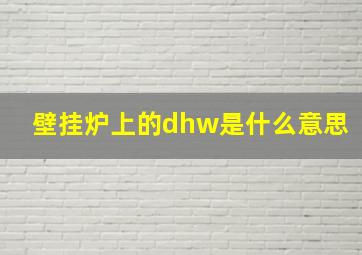 壁挂炉上的dhw是什么意思