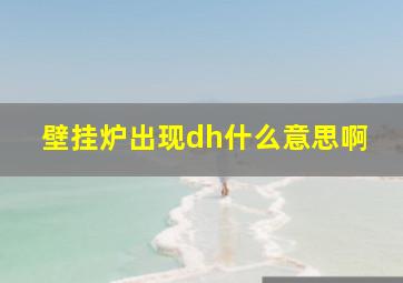 壁挂炉出现dh什么意思啊