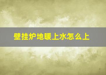 壁挂炉地暖上水怎么上