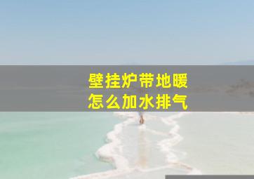 壁挂炉带地暖怎么加水排气