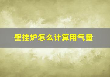 壁挂炉怎么计算用气量