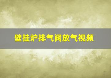 壁挂炉排气阀放气视频