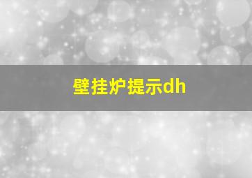 壁挂炉提示dh